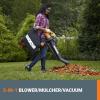WORX Trivac 3-in-1 Electric Leaf Blower for Lawn Care, Leaf Mulcher/Leaf Vacuum with Bag, 350 CFM & 210 MPH, Leaf Shredder with Metal Impeller, Reusable Bag Included, Corded, WG505.2(350CFM w/LeafPro Collection System)