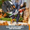 Worx 40V Turbine Leaf Blower Cordless with Battery and Charger, Brushless Motor Blowers for Lawn Care, Compact and Lightweight Cordless Leaf Blower WG584 – 2 Batteries & Charger Included | WORX WA0138 Wall Mount Tool Holder