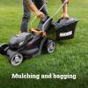 WORX Cordless Lawn Mower, 14” Electric Mower with Mulching & Bagging, 20V Push Lawn Mower with 6-Position Height Adjustment, 5.0 Ah Battery & Charger Included, WG733.1(14″ 20V Mower w/(1) 5.0Ah Battery)